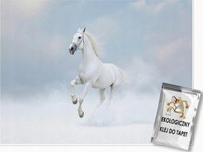 Fotótapéta Ló Fehér Felhők Állatok A Falon Hálószoba Nappali 400x280