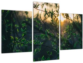 A ragyogó nap képe a fák gallyain keresztül (90x60 cm)