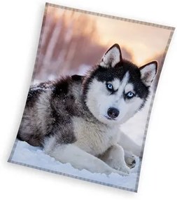 Kutyás Husky coral fleece polár takaró 150x200cm
