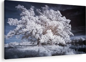 Kép - Hófehérke fa (90x60 cm)