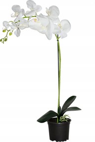 Orchidea mesterséges prémium mesterséges növények 9 virág Mint Élő színkeverék