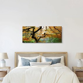 Egy sárga japán juhar képe, Portland, Oregon (120x50 cm)