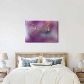 A cseppek képe a bolyhon (90x60 cm)