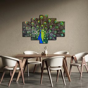 Kép - Páva (150x105 cm)