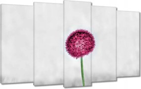 Vászonkép 100x60 Rózsaszín pitypang virág