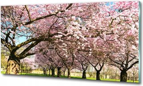 Fotó kép edzett üveg pitypang 100x70