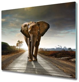 Üveg vágódeszka séta elefánt 60x52 cm