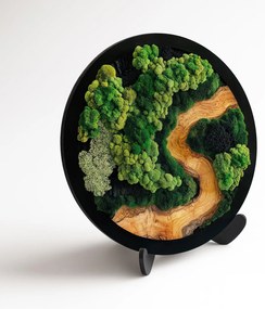 DUBLEZ | Kör alakú moha kép - Rin no Mori