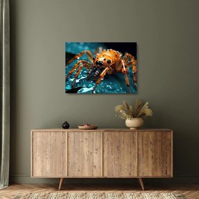Üveg kép - A pók részlete (70x50 cm)
