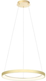 Redo 01-2673-LED Dimmelhető csillár zsinóron ICONIC LED/50W/230V átm. 58 cm arany