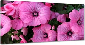 Vászonkép 120x60 Lila virágok