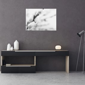 Üveg kép - A tavasz kezdete (70x50 cm)