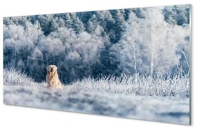 Üvegképek Winter mountain dog 100x50 cm 2 fogas