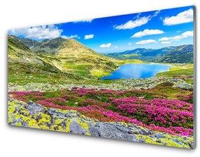 Üvegkép Top Bay Mező Természet 100x50 cm 4 fogas