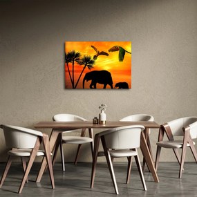 Kép - papagájok és elefántok (70x50 cm)