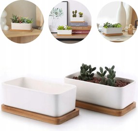 2x Kis kerámia kaspó bambusz alátét pozsgás kaktuszok