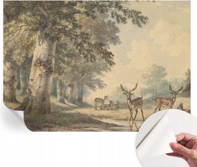 Dekoratív öntapadós fotótapéta Hálószobába Erdei nyugalom 312x219 cm