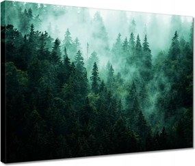 Vászonkép 40x30 Erdő Köd Tájkép Utazás