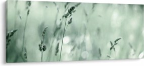 Kép - Zöld rét (120x50 cm)