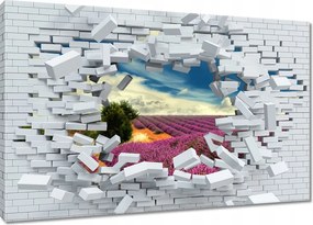 Vászonkép 120x80 Levendulamező