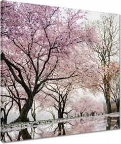 Vászonkép 50x50 Fa Fák Kilátás