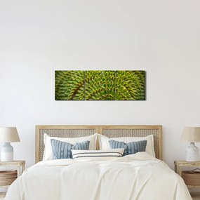 Kép - Fern (órával) (90x30 cm)
