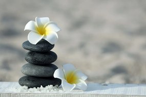 Öntapadó fotótapéta harmonikus kövek és plumeria virág