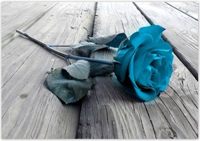 Poszterek 100x70 Kék rózsa a deszkákon