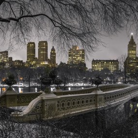 Poszter 60x60cm Központi park Manhattan panorámával, Assaf Frank