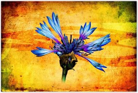 Poszterek 120x80 Chaber