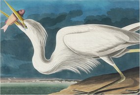 Flizelin fotótapéta Flizelin Design Madár halakkal 152x104 Ragasztó