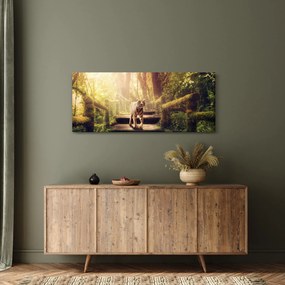 Tigris képe (120x50 cm)