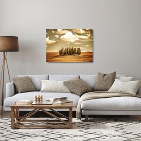 A Tisztás képe (üvegen) (70x50 cm)