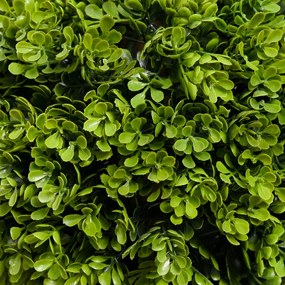 Műnövény, buxus, cserépben 90cm magas