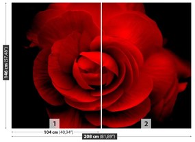 Fotótapéta rózsavörös 104x70 cm