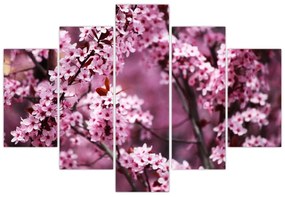 Kép - Rózsaszín sakura (150x105 cm)