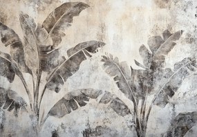 Fotótapéta - Banánfa a falon (147x102 cm)