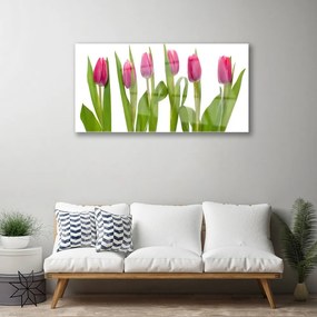 Üvegkép Tulipán virágok Plant 125x50 cm