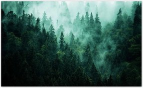 Fotótapéták 416x254 Erdő Köd Tájkép Utazás