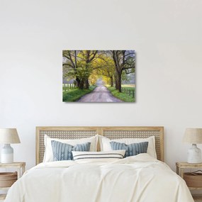 Kép - Smoky, hegység, Gatlinburg, USA (üvegen) (70x50 cm)