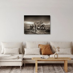 Fekete fehér tigris képe (üvegen) (70x50 cm)