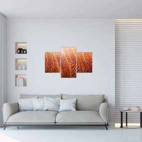 Kép - Textúra részlet (90x60 cm)