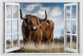 Poszterek 60x40 Skót tehén