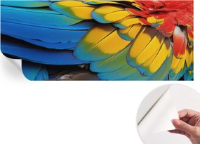 Dekoratív öntapadós fotótapéta irodába Szivárvány tollak 250x104 cm