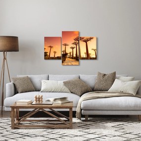 Kép - Naplemente a Baobab Alley-ben (90x60 cm)