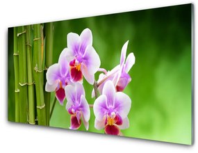 Üvegkép falra Bamboo Orchid Virág Zen 100x50 cm