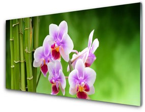 Üvegkép falra Bamboo Orchid Virág Zen 120x60cm 2 fogas