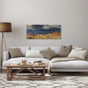 Kép - kaktuszok a természetben (120x50 cm)