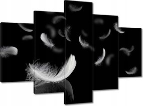 Képek 150x105 Hulló fehér tollak