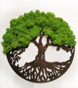 Vászonkép Életfa Moha Dekoratív Moha 40CM